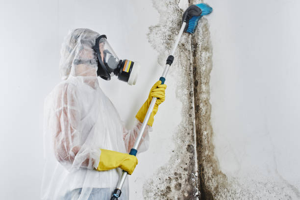 Best Crawl Space Mold Removal  in Sebastian, FL