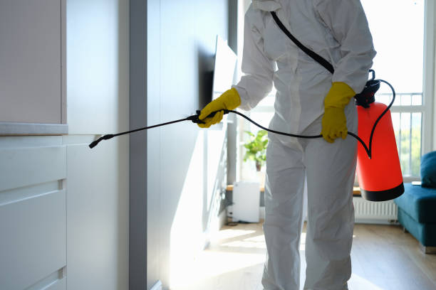 Best Home Mold Removal  in Sebastian, FL